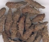 Nutgrass Galingale Rhizome Extract
