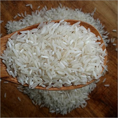 IR36 Rice