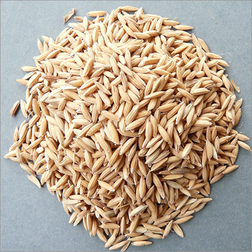Brown Paddy Seeds Grade: A