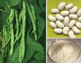 White Kidney Bean extract