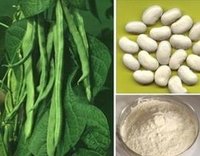 White Kidney Bean Extract - White Powder, 1% 2% Phaseolamin | Weight Loss Aid, Carb Blocker, Dietary Supplement