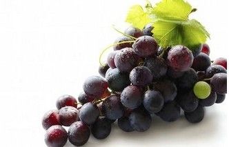 Grape seed extract