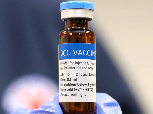 Liquid Bcg Vaccine