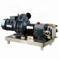 Rotary Lobe Pumps manufacturers in Delhi