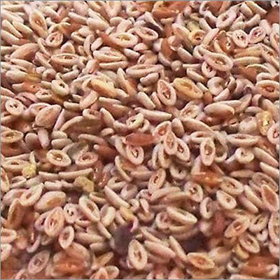 Natural Psyllium Seeds