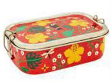 Stainless Steel Printed School Lunch Box