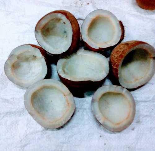 Coconut Copra Sulphur Free
