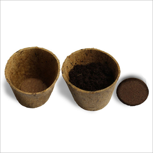 Coco Peat Pot With Coco Coin