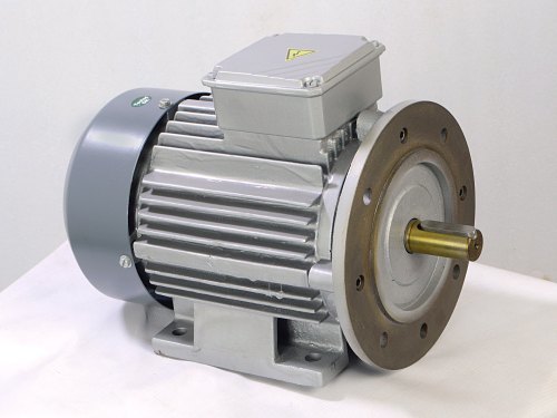 Silver/Blue Foot Cum Flange Mounted Electric Motor