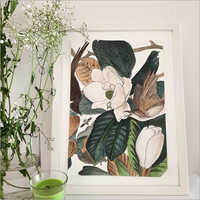 Decor