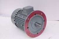 FLANGE MOUNTED ELECTRIC MOTOR