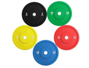 Bumper Plate