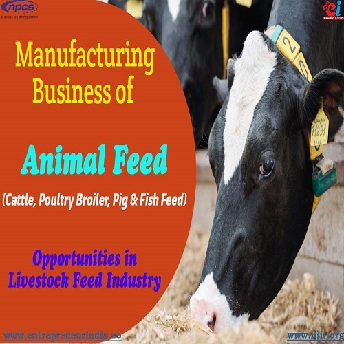 Project report on Manufacturing Business of Animal Feed (Cattle, Poultry Broiler, Pig & Fish Feed)
