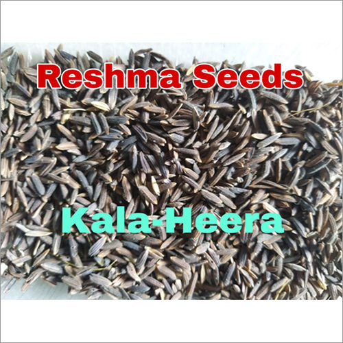 Kala Heera Paddy Seeds