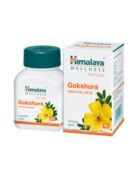 Himalaya Gokshura Tablets