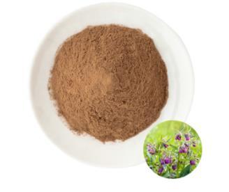 Comfrey Extract (Symphytum Officinale Extract or Symphytum Officinale Leaf Extract)