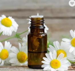 Chamomile extract