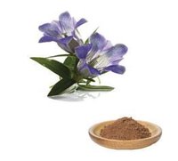 Fluid Gentian Extract - Brown Powder, 98% Purity | Herbal Digestive Aid, Blood Tonic, Natural Remedy