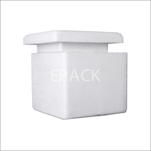 Fruit Packing EPS Thermocol Box By EPACK POLYMERS PRIVATE LIMITED
