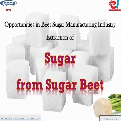 Project Report on Opportunities in Beet Sugar Manufacturing Industry.