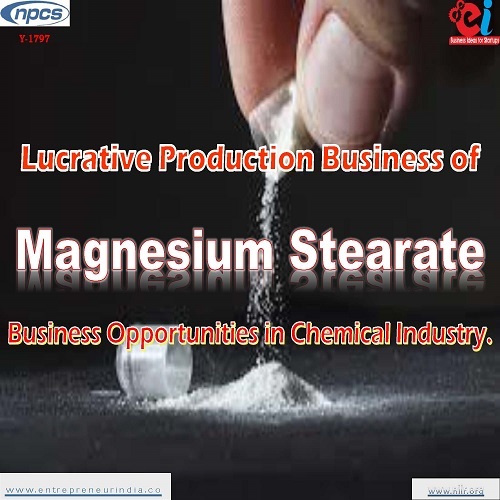 Detailed Project Report on Lucrative Production Business of Magnesium Stearate By NIIR PROJECT CONSULTANCY SERVICES