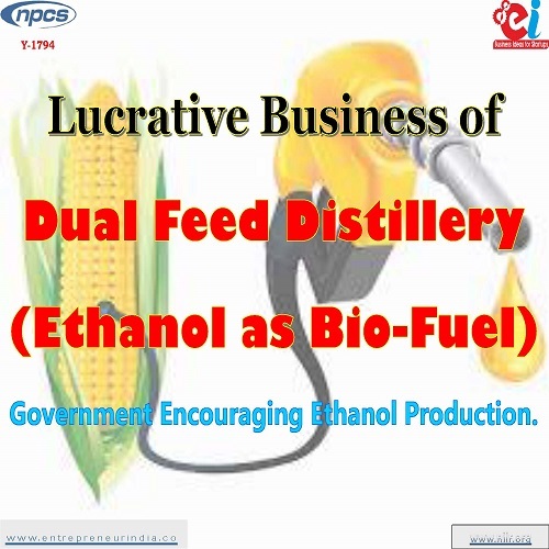 Detailed Project Report on Lucrative Business of Dual Feed Distillery (Ethanol as Bio-Fuel).