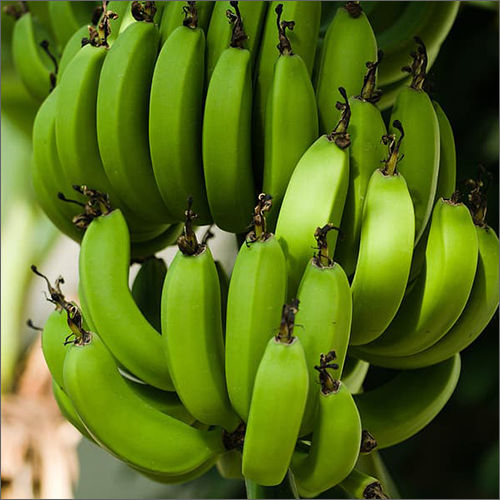 Fresh Green Banana