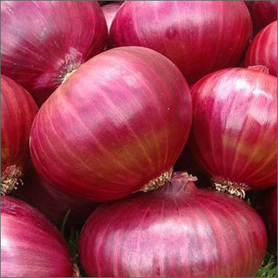 Fresh Red Onion