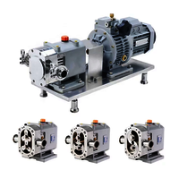 Positive Rotary Lobe Pumps manufacturers in india