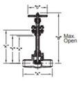 REGO Stainless Steel Globe Valve for Cryogenic Service 210 Series