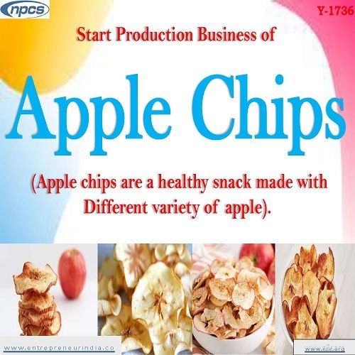 Detailed Project Report on Start Production Business of Apple Chips