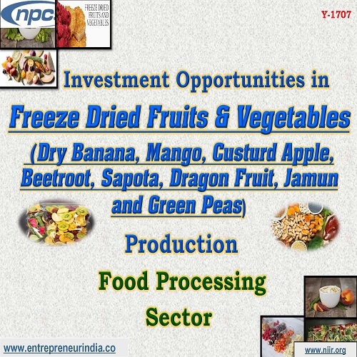 Detailed Project Report on Investment Opportunities in Freeze Dried Fruits | Vegetables By NIIR PROJECT CONSULTANCY SERVICES