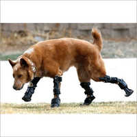 Animal Leg Prosthetics