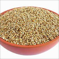 Brown Natural Pearl Millet