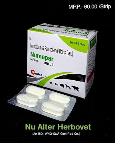 Veterinary Meloxicam Paracetamol Bolus Tablets