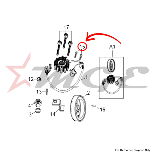 Two Wheeler Parts Pulser Coil Fixing Screw