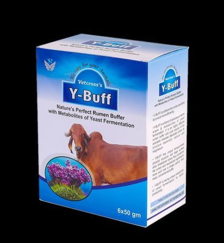 Rumen Buffer Powder Efficacy: Promote Healthy