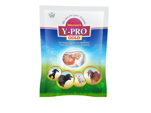 500gm Probiotics Powder