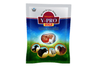 Probiotics Powder