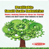 Profitable Small Scale Industries Money making Business Ideas for Startup (when you dont know what industry to start) 2nd Revised Edition