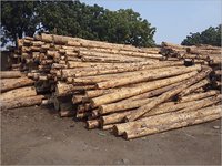 Syp Pine Round Logs