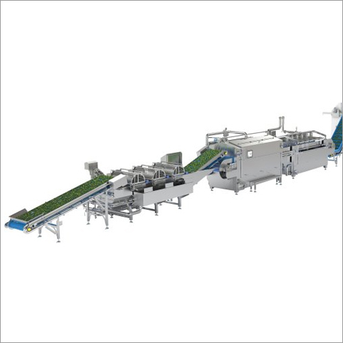 Automatic Frozen Vegetable And Fruits Processing Plant