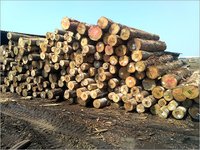 White New Zealand Pine Round Logs