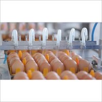 Eggs Washing Machine