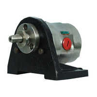 Stainless Steel Gear Pump