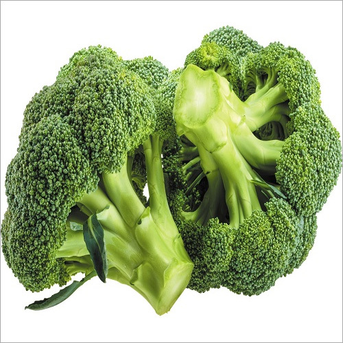 Fresh Broccoli By AVISHKAR AGRI AND FOODS