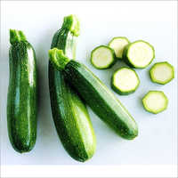 Fresh Zucchini