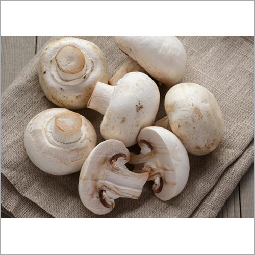 Fresh White Mushroom By AVISHKAR AGRI AND FOODS
