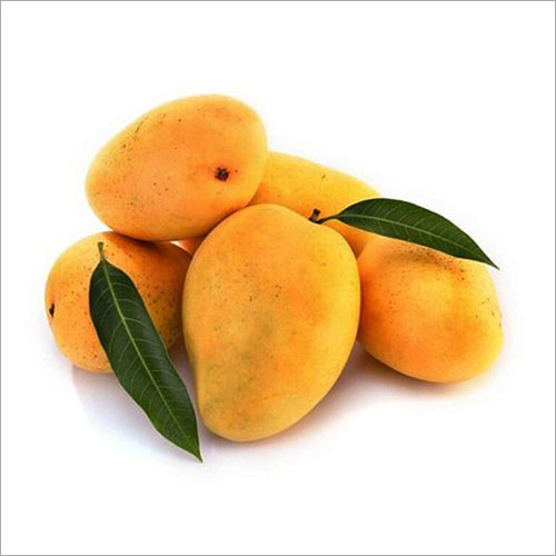 Fresh Alphonso Mango By AVISHKAR AGRI AND FOODS