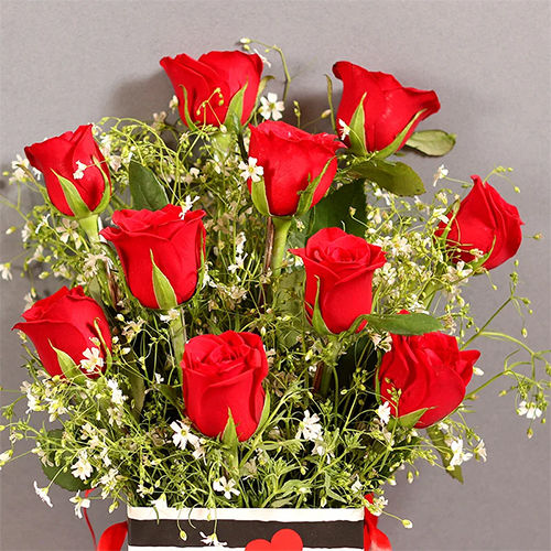 Rose Flower at Best Price in Pimpri, Maharashtra | Avishkar Agri And Foods